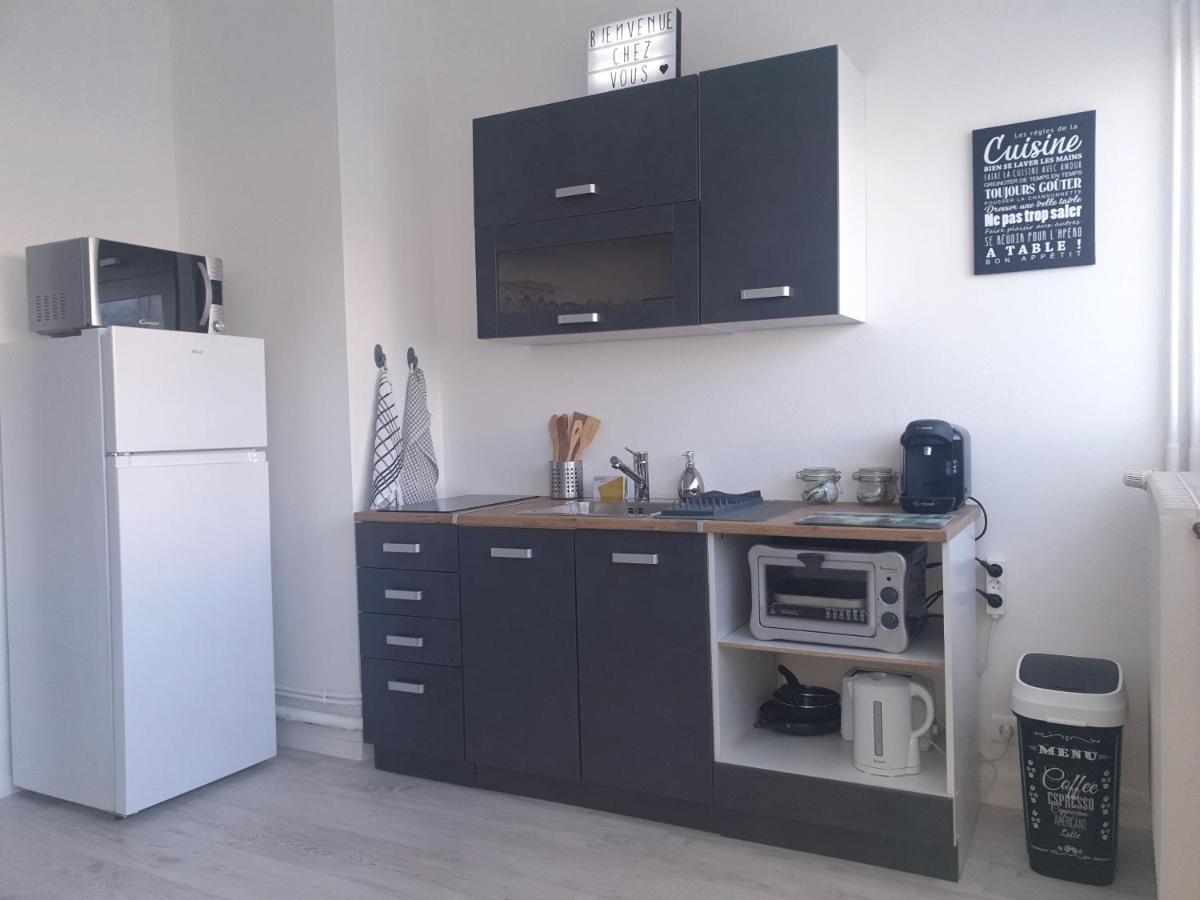 Appartement La Roseraie Parking Prive Mâcon 외부 사진