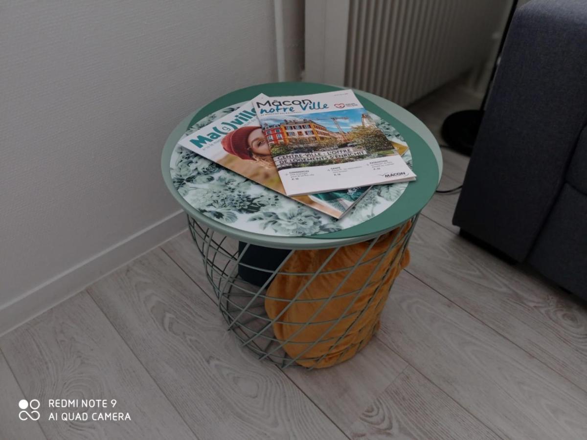 Appartement La Roseraie Parking Prive Mâcon 외부 사진