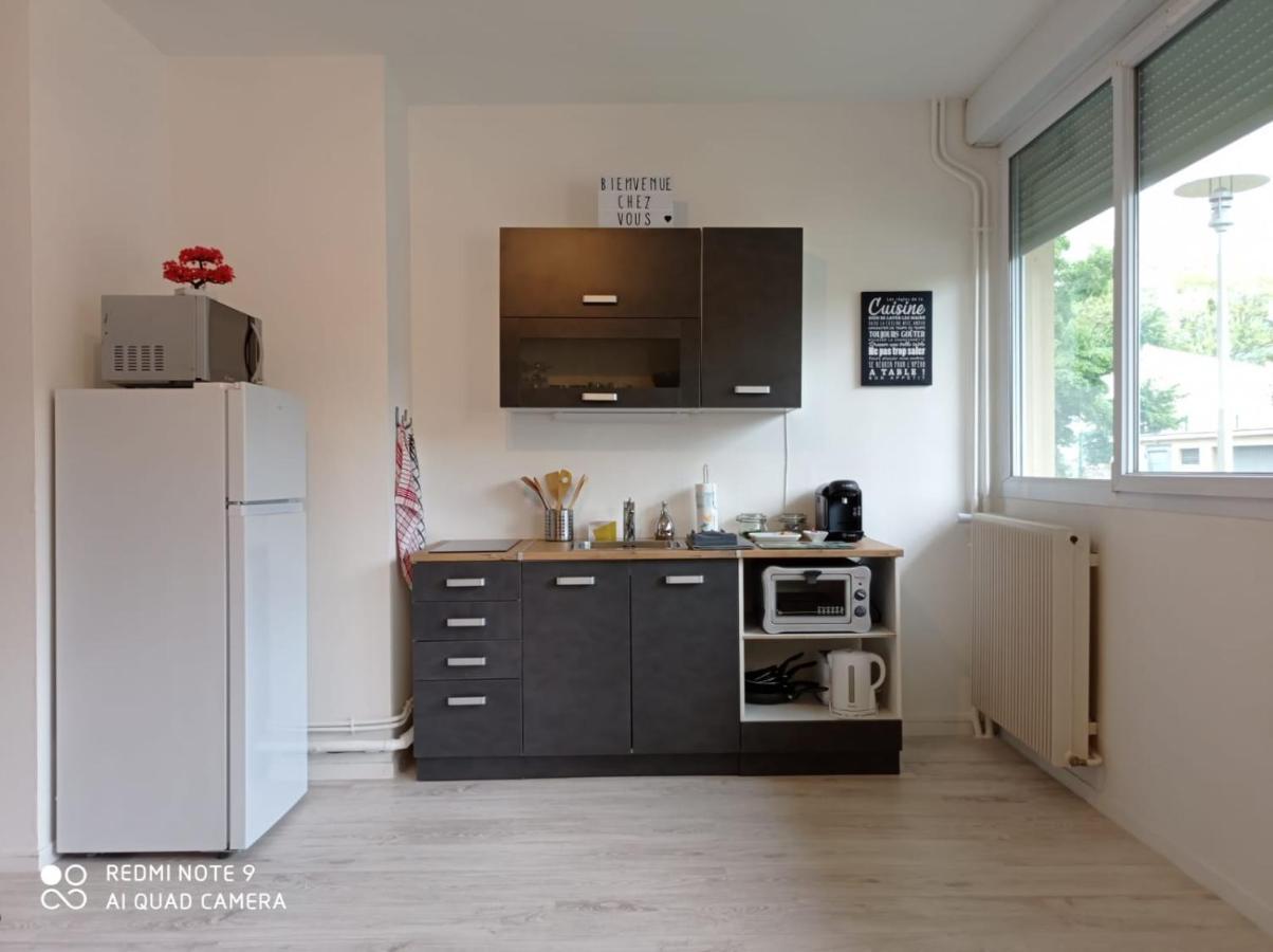 Appartement La Roseraie Parking Prive Mâcon 외부 사진
