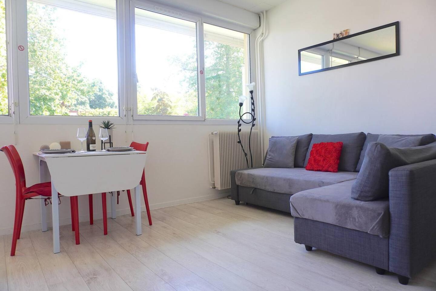 Appartement La Roseraie Parking Prive Mâcon 외부 사진