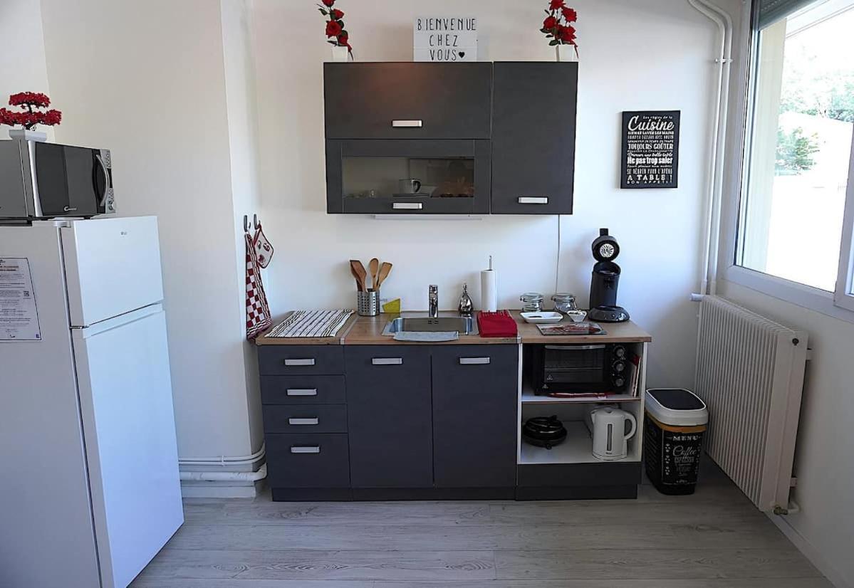 Appartement La Roseraie Parking Prive Mâcon 외부 사진